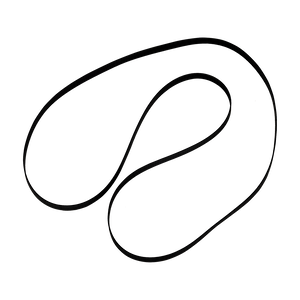 Belt for JBL Spinner BT